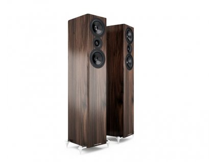 Acoustic Energy AE 509