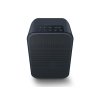 Bluesound Pulse Flex 2i