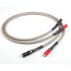 Chord EpicX Aray 2RCA 1