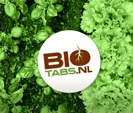 Natürliche Power für deine Pflanzen: Der Biotabs Guide für gesunde Erträge