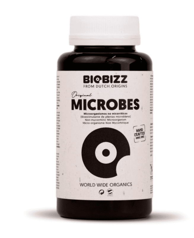 Nützliche Mikroorganismen: Deine Helfer für gesunde Pflanzen und reiche Ernten