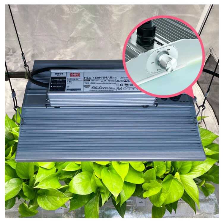 Power und Effizienz: Warum Viparspectra LED-Leuchten deine Ernte revolutionieren