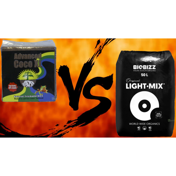 Erde oder Kokosnuss als Kultursubstrat? Wählen Sie das Richtige für Ihren Garten!