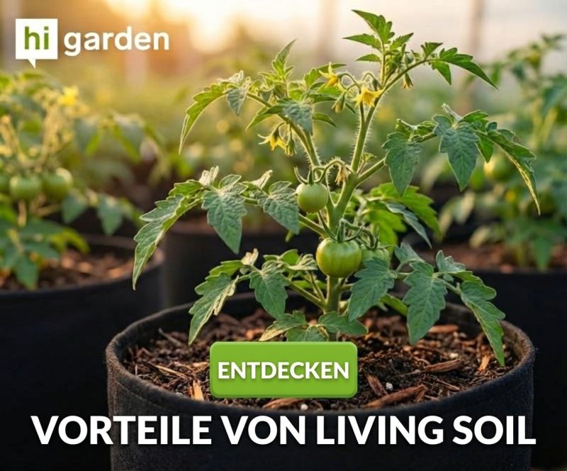 living soil