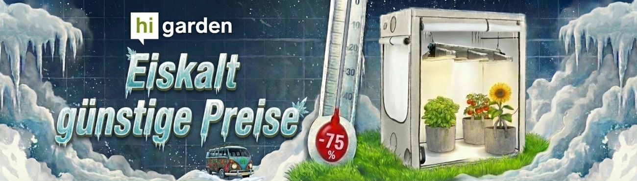 Eiskalt niedrige Preise