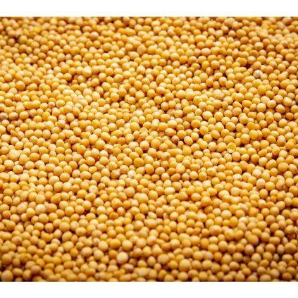 34748 einjahrige sonnenblume auf microgreens 100 g