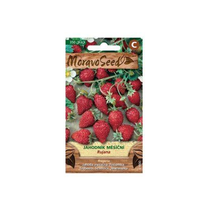 46384 samen moravoseed monatserdbeere 61800