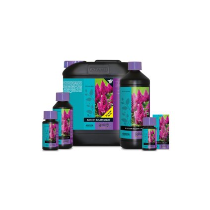 Blüte
