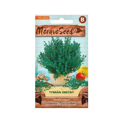 46582 samen moravoseed gewohnlicher thymian 71742
