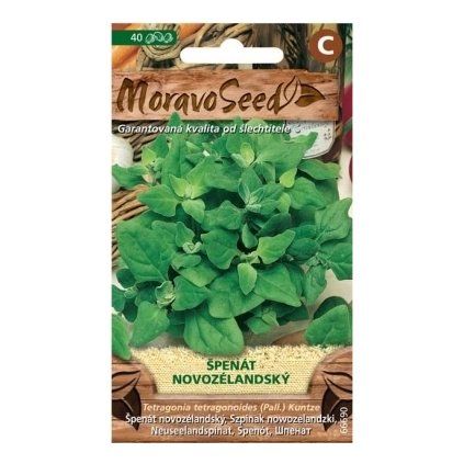 46708 samen moravoseed neuseelandischer spinat 66690