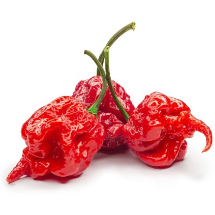 Gusta Garden Carolina Reaper