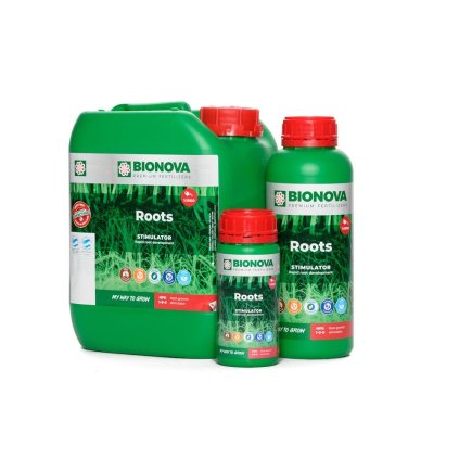 BNroot