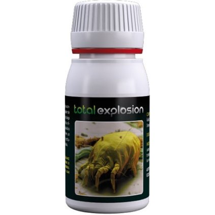 totale Explosion