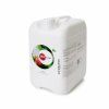 JUNGLE Garden G4 - Erdbeeren (Band 10l)