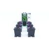 Alien Hydroponics Aero 6Pot (Option Schwarz 15L)