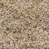 31192 chicoree auf microgreens 50 g
