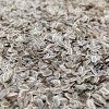 31429 dill auf microgreens 50 g