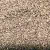 31540 karotten auf microgreens 50 g