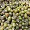 31543 mungobohnen auf microgreens 100 g