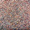 31648 pak choi rot auf microgreens 50 g