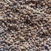 31861 rote bete auf microgreens 50 g