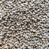 31918 1 spinat auf microgreens gesat 50 g