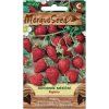 46384 1 samen moravoseed monatserdbeere 61800