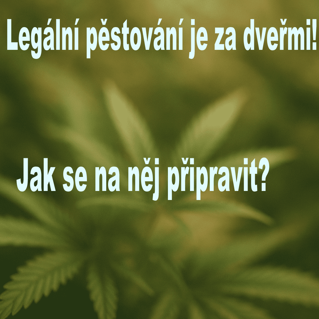 Legální pěstování je za dveřmi! Jak se na něj připravit