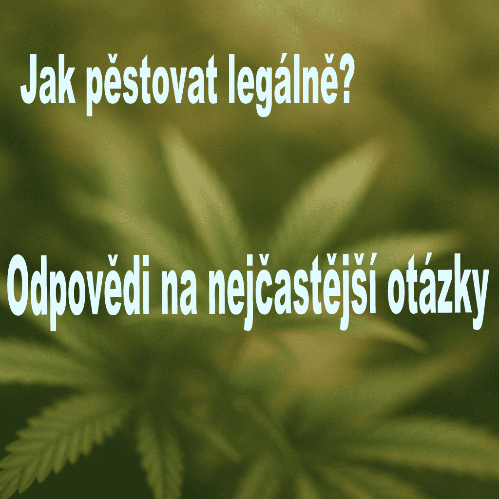 10 odpovědí na nejčastější otázky o legálním pěstování