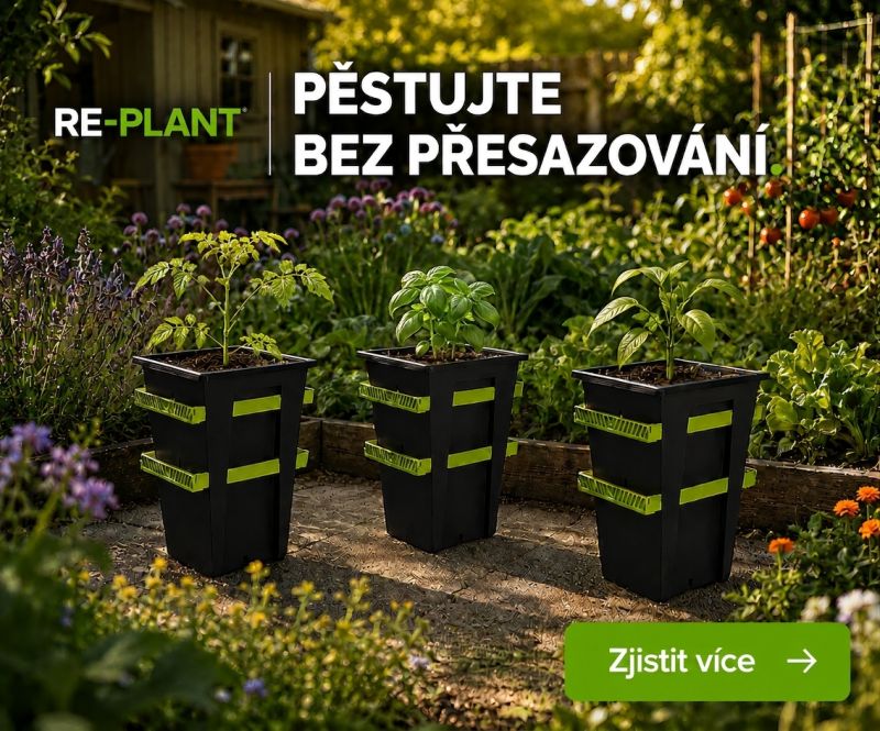 REPLANT květináč na celý pěstební cyklus