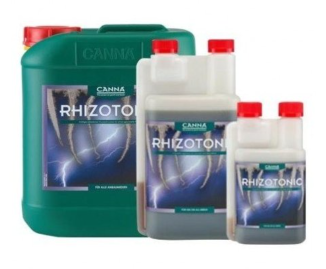 A_K_RHIZOTONIC