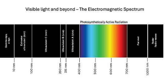 Lightspektrumpar