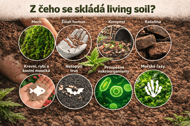 livingsoilbasics_optimized