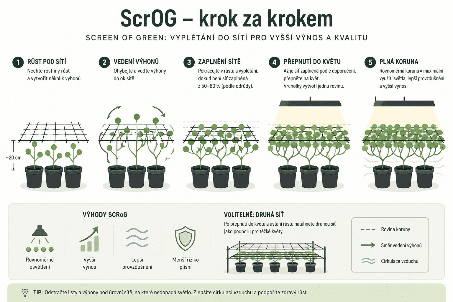 scrogkrokzakrokem_optimized