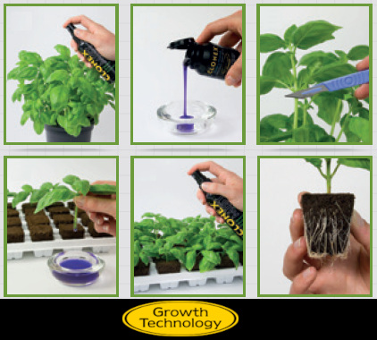w664287f327ef6-klonovani-growth-technology