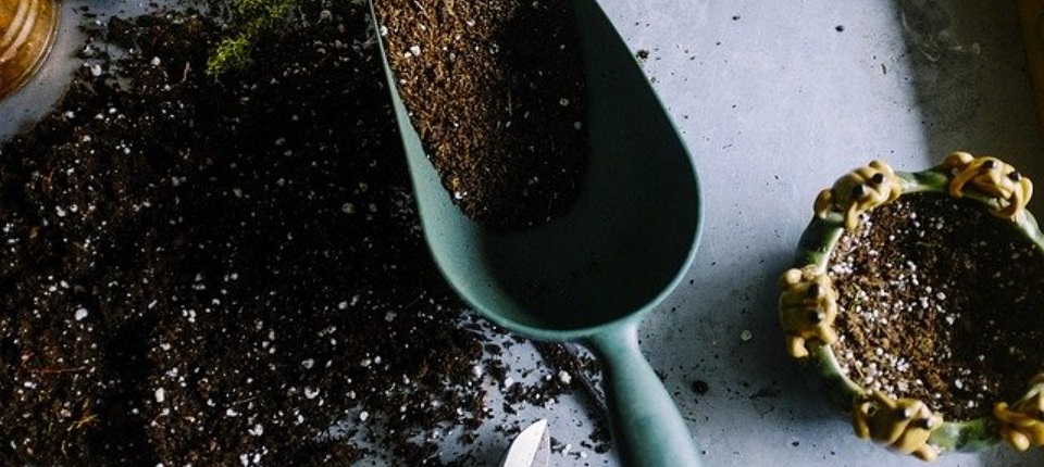 Soil