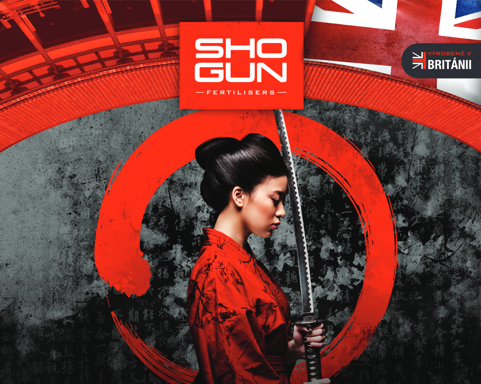 SHOGUNcover