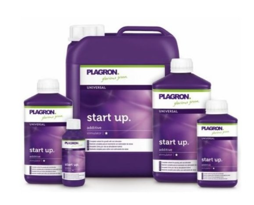 a_K_PLAGRONSTARTUP