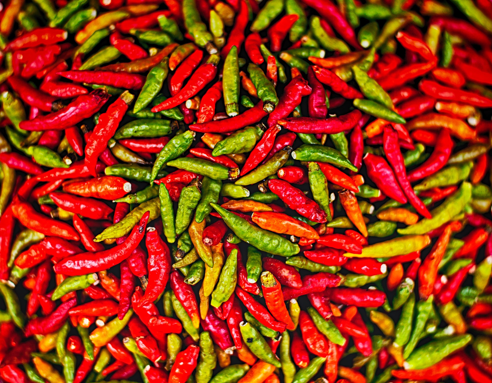 chilli-2438001_1920