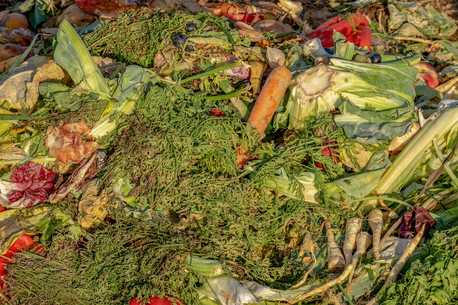 compost-3663514_1920