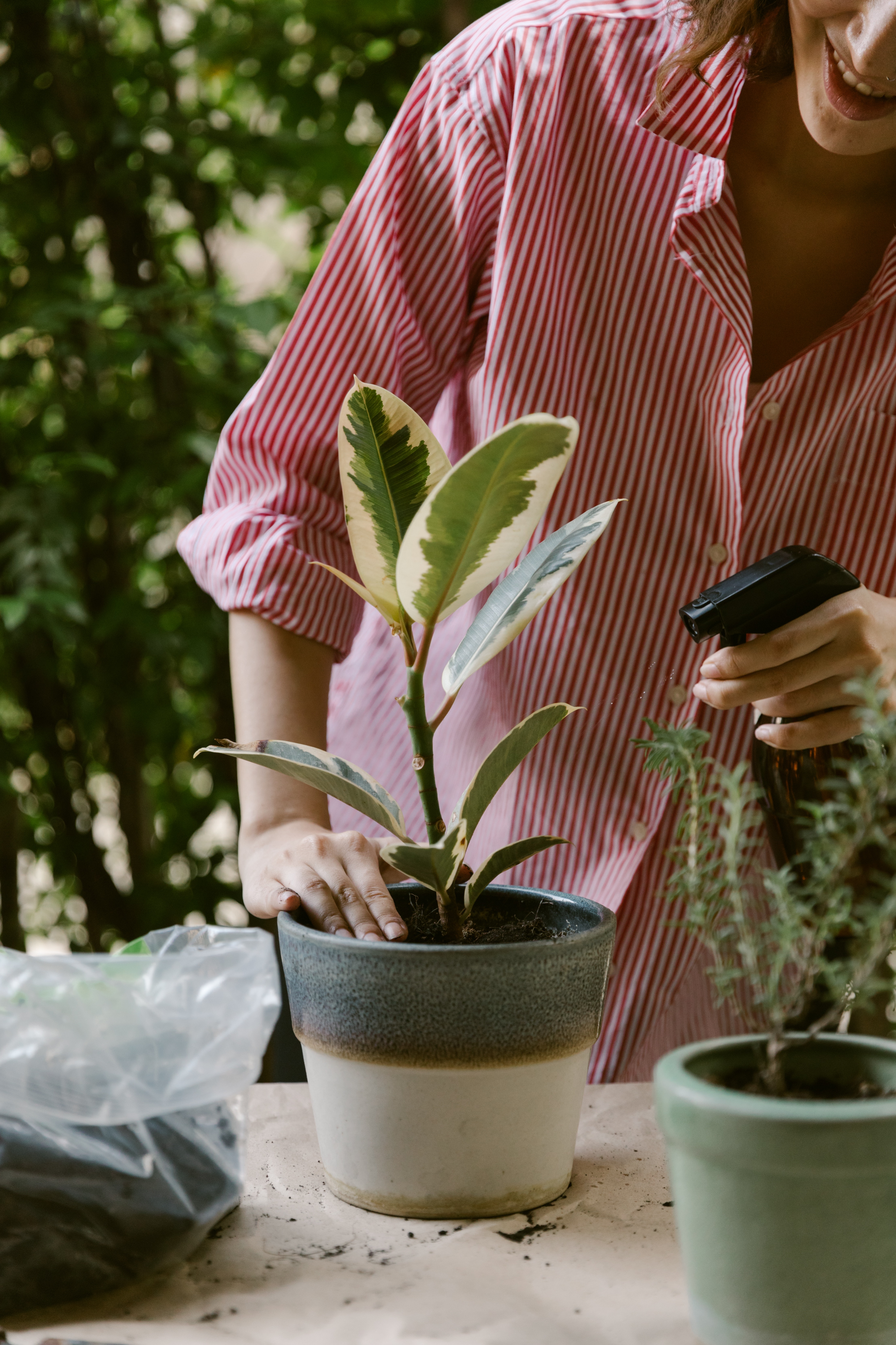 crop-woman-spraying-plant-in-pot-4132399