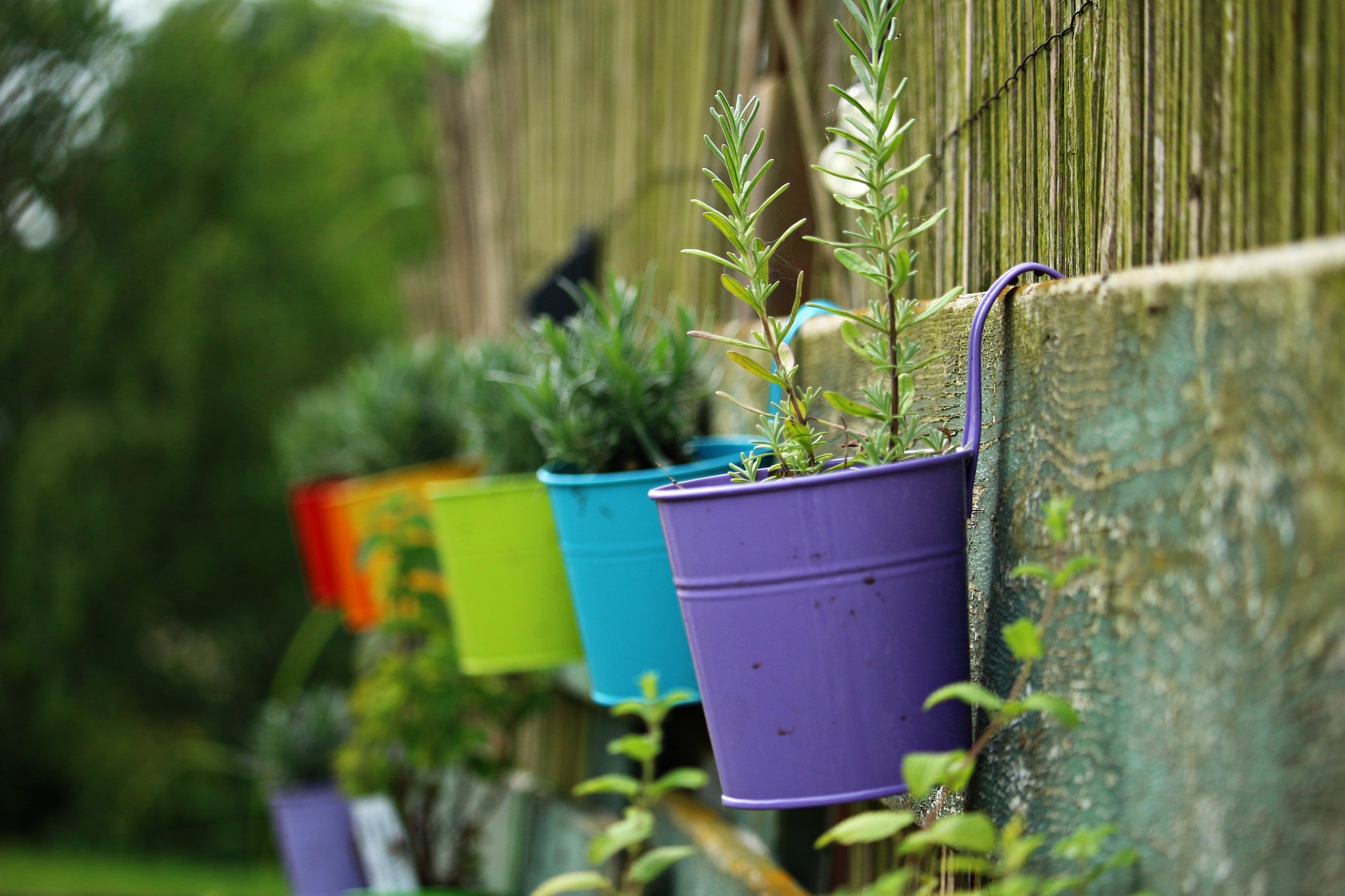 Rainbow on the fence