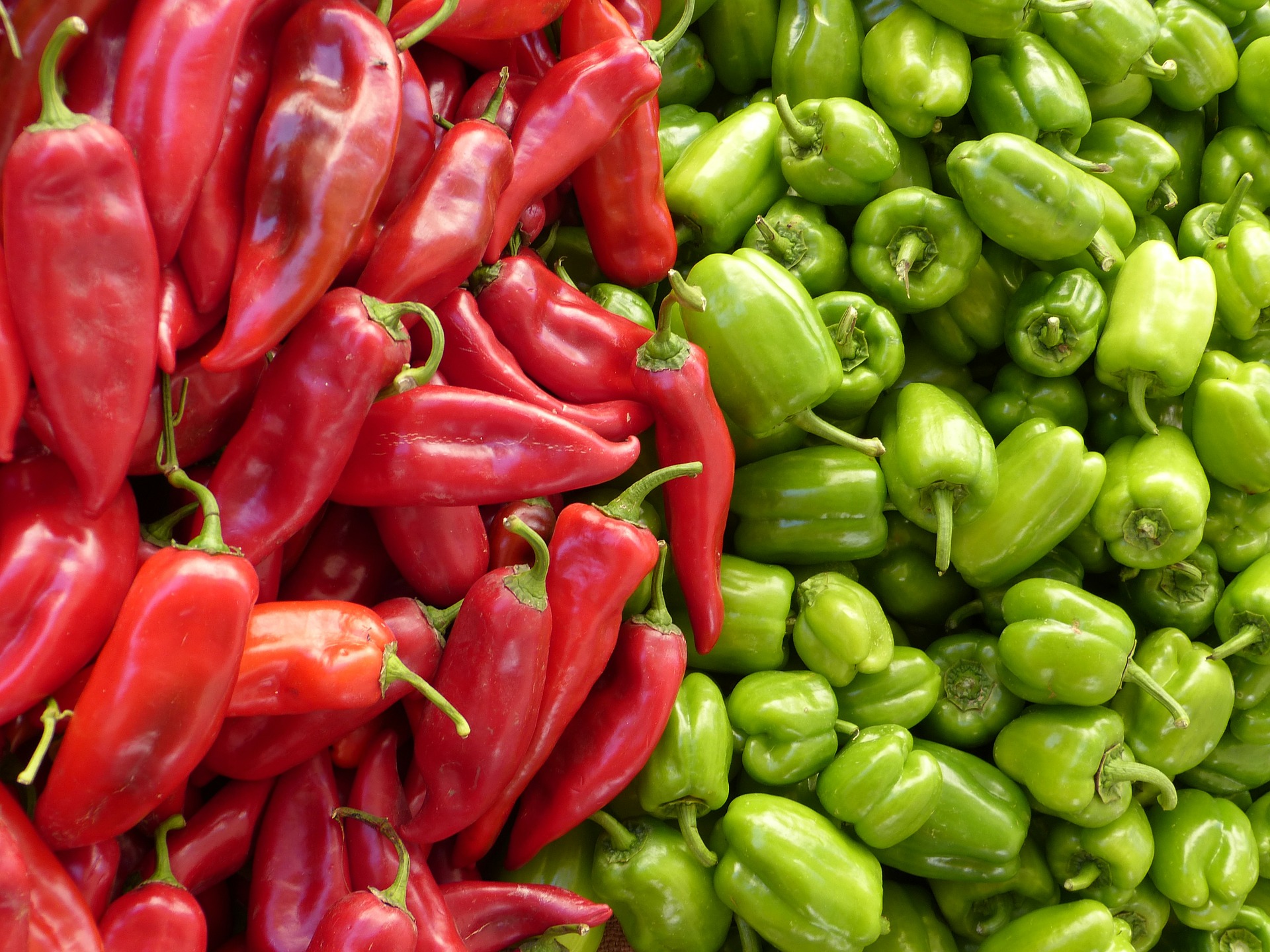 most_popular_plants_3_peppers_cover