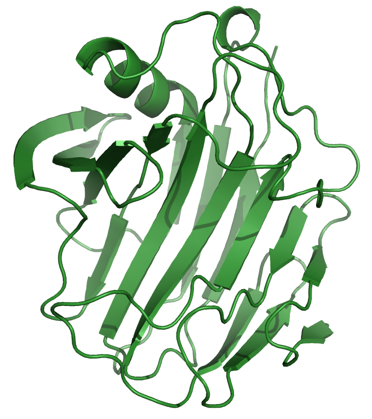 cellulase