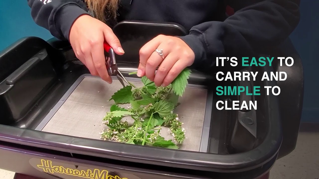 Trim Bin Harvest Cut Tray