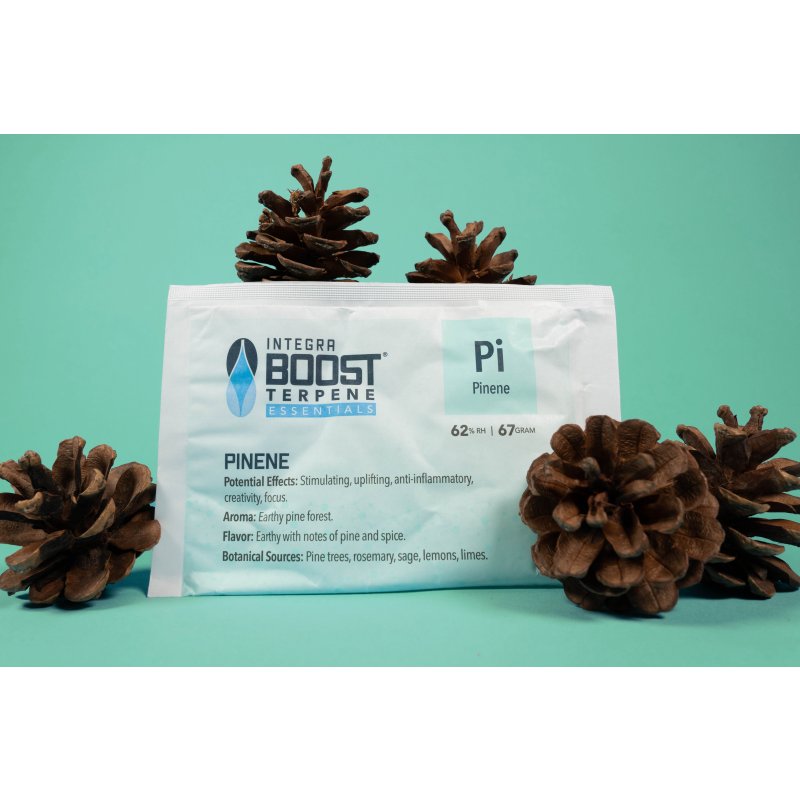 Integra Boost 62% vlhkost, Terpene Essentials Pinen 67g