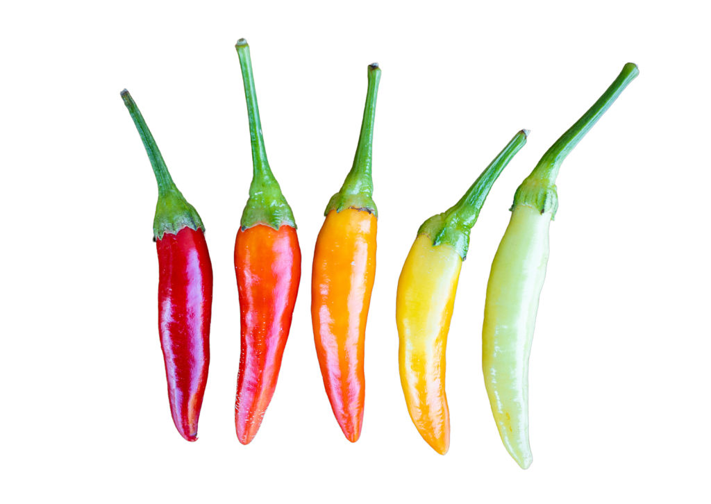 Semínka Piquant Paprička chilli YUCATAN