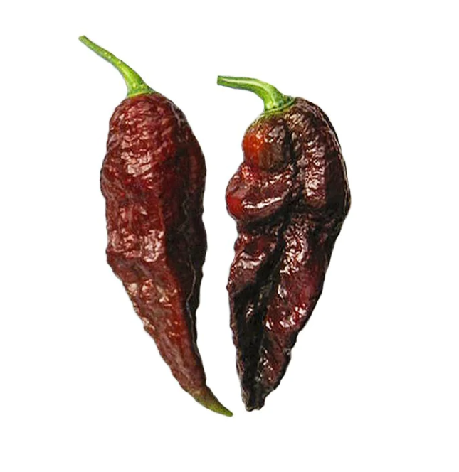 Semínka Piquant Paprička chilli BHUT JOLOKIA CHOCOLATE