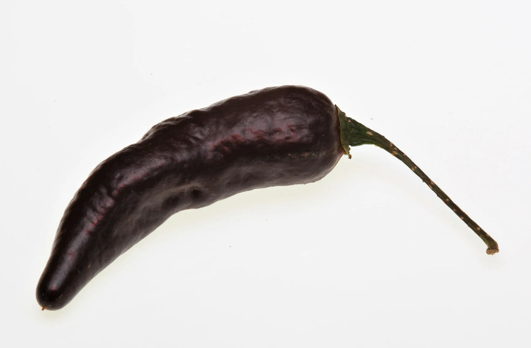 Semínka Piquant Paprička chilli ROYAL BLACK