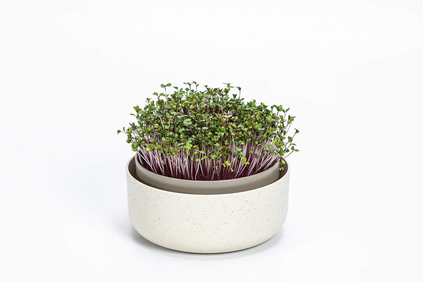 Plastia - germinating bowl